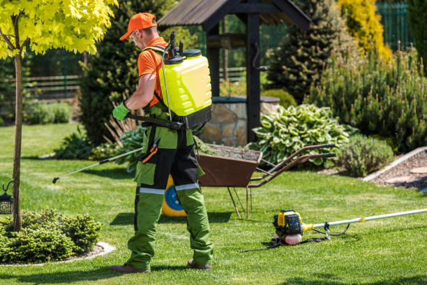 Best Pest Exclusion Services  in Lakewood, WA